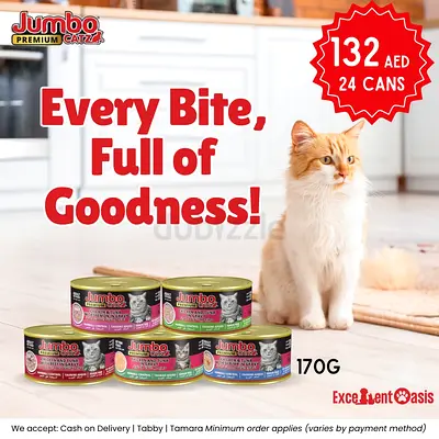 Jumbo Premium Cat Food - 24 Cans (170g each)