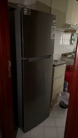 LG 2-Door Refrigerator in Excellent Condition