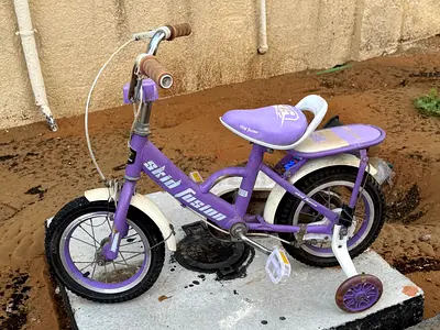 My purple childrens bike with training wheels