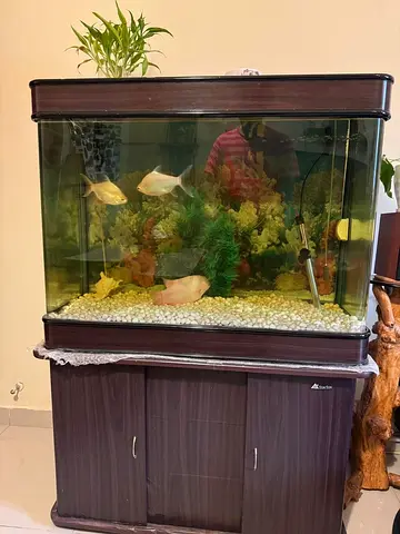 Large glass aquarium with cabinet stand and equipment