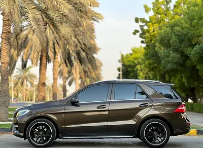 2013 Mercedes-BENZ M-CLASS 照片 4
