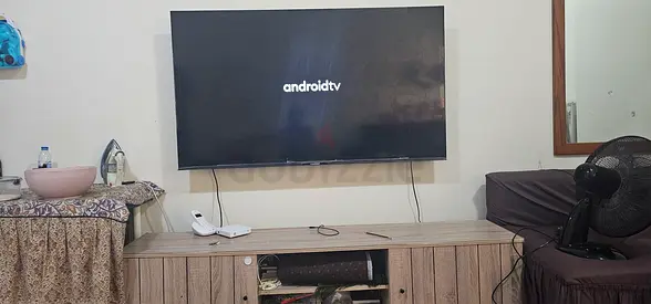 BlauPunkt 65 Inches Television