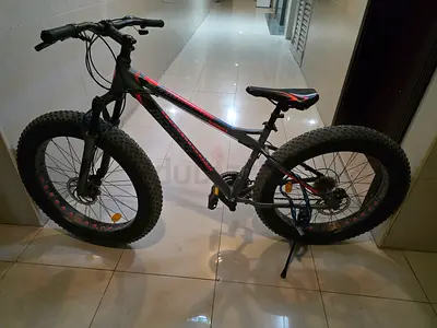 My fat-tire mountain bike — used, flawless condition