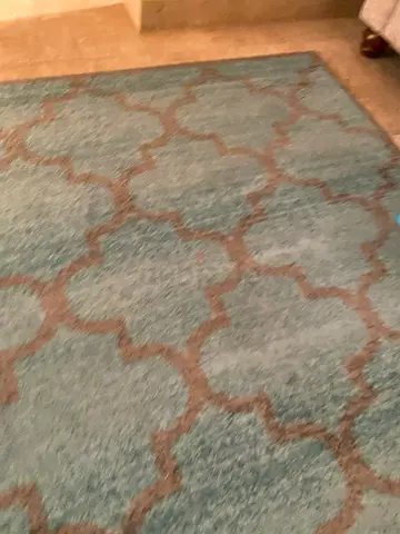 Teal trellis area rug — used