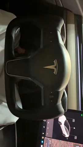 TESERY Yoke Steering Wheel for Tesla Model 3 / Y【Style 36】