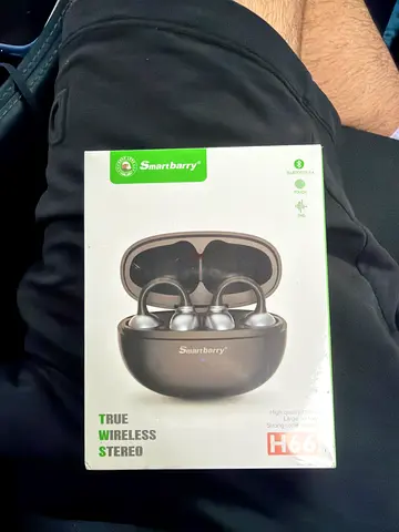 Sambury H66 True Wireless Earbuds