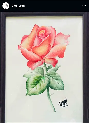 framed signed rose drawing - original floral artwork