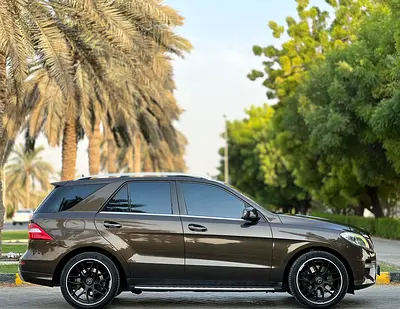 2013 Mercedes-BENZ M-CLASS 照片 6