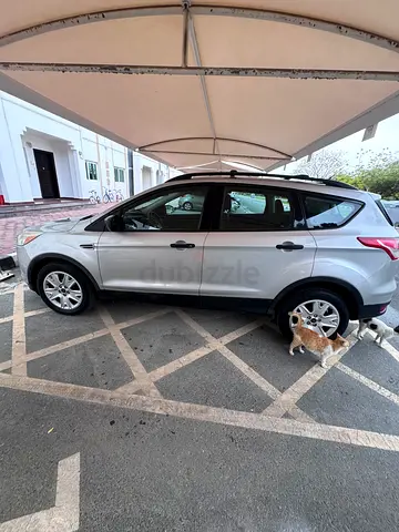 Well-maintained Ford-Low Mileage-Good Condition