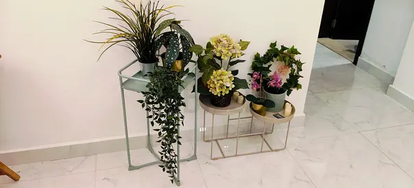 Stylish Indoor Plant Display Stands