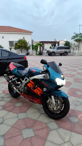 RARE! CBR 900rr 1999 FIREBLADE