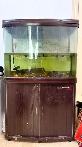 Large glass aquarium with wooden cabinet — used, needs cleaning