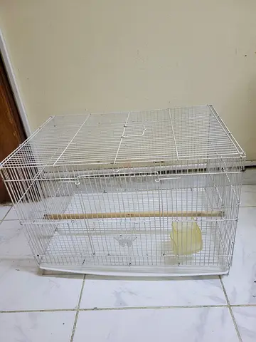 Birds cage