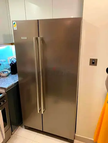 My side-by-side stainless steel refrigerator/freezer - good condition