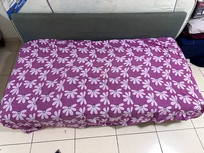 Sofa cum Bed for Free