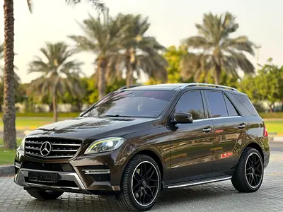2013 Mercedes-BENZ M-CLASS 照片 2