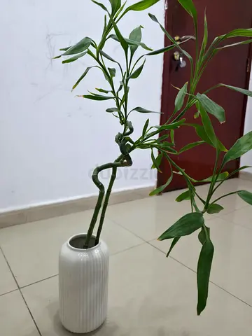 My IKEA ribbed ceramic vase — White