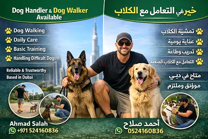 Dog Handler / Dog Walker Available 🐶  I have good experience dogs and offer: • Dog walki