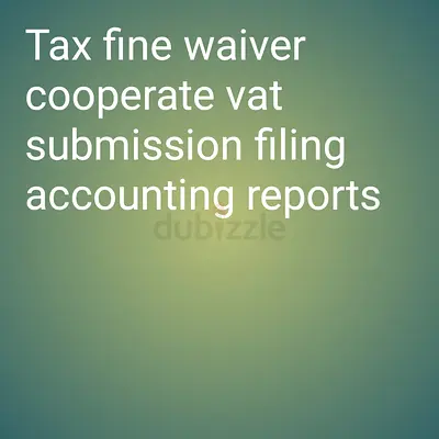 Accounting tax return