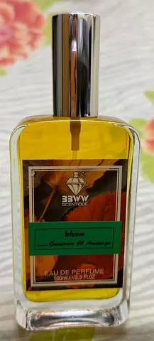 Infusion Inspired by Guidance 46 Amouage Twist 100 ML