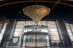 Luxury Studio | Below Market | High Yield