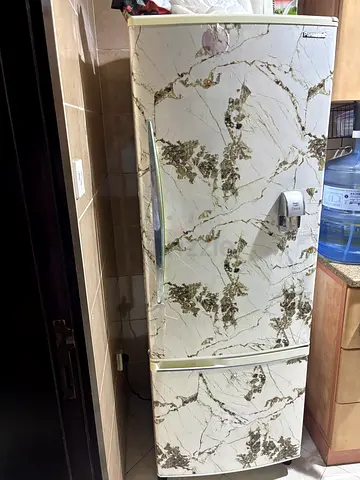 Panasonic Spacious Fridge