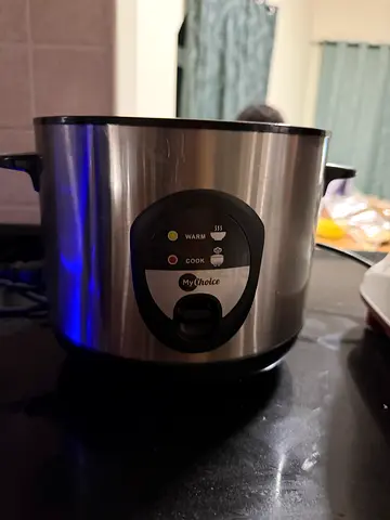 Compact stainless steel electric food steamer / egg / rice cooker