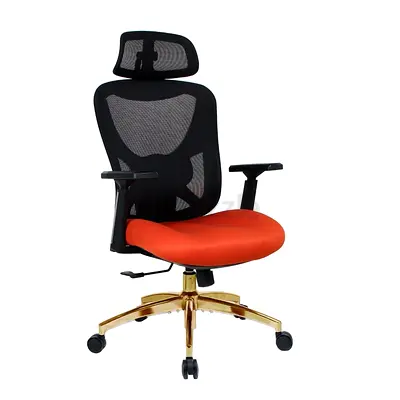 Ergonomic Office Chair with Adjustable Features Luxury