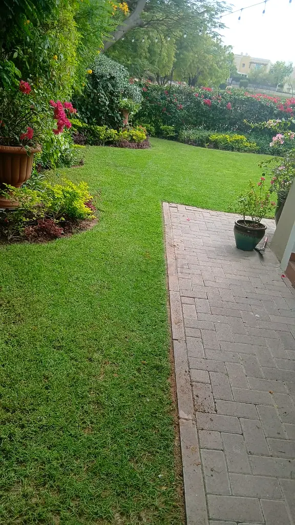 DPV_View_Image_4