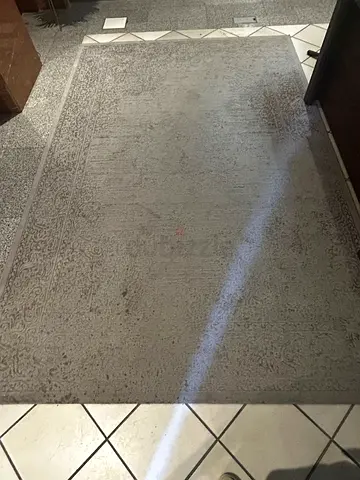 Light grey area rug - gently used