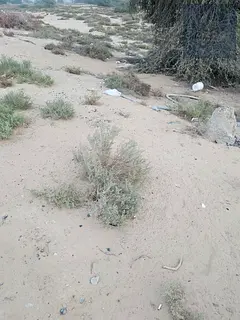 Commercial land for sale in Al Bulaydah 1, Sharjah