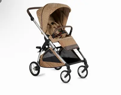 Gucci baylby stroller