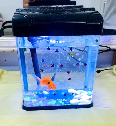 Aquarium for sale