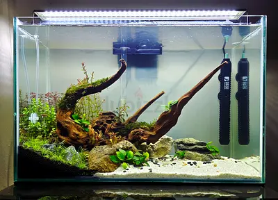 Newly scaped Full set planted Aquarium for Sale