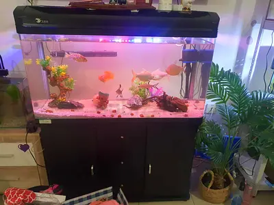 Aquarium