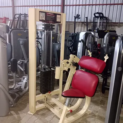 Seated Torso Rotation / Oblique Machine with Weight Stack