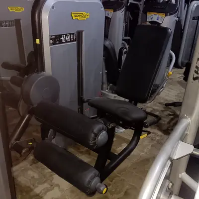 Technogym Seated Leg Extension  Hamstring Curl Machine