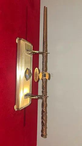 Harry Potter ( Hermione Granger ) wand - The Noble Collection