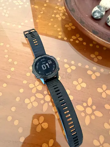 Garmin Fenix 6
