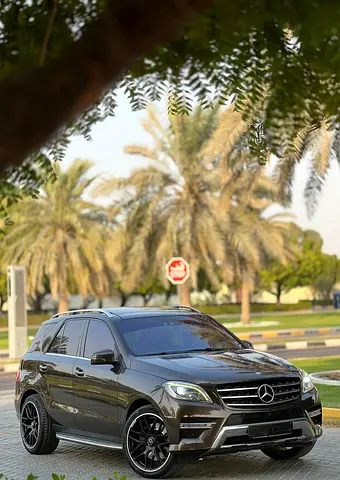 2013 Mercedes-BENZ M-CLASS 照片 5