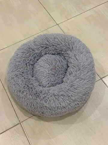Cat Bed - Kitten