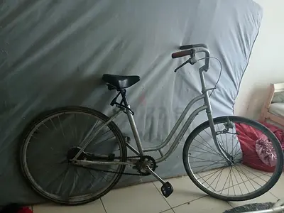 My step-through city cruiser bike — used, needs some work