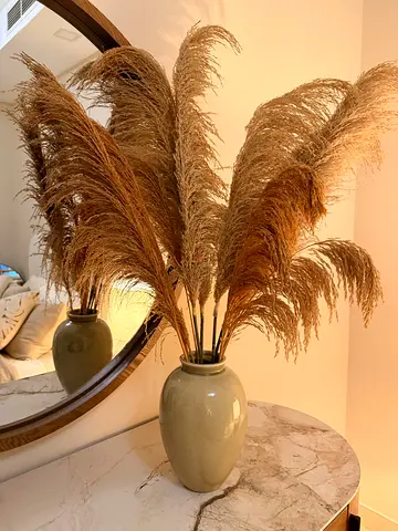 My pampas grass arrangement in ceramic vase
