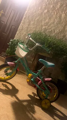 Girls bicycle with basket - clean and ready