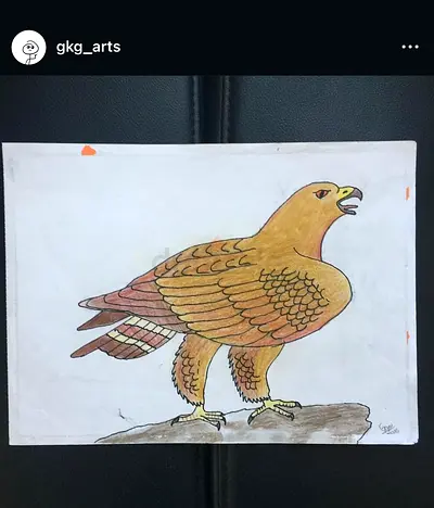Original Hand-Colored birds Drawing
