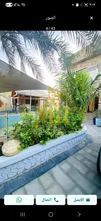 Luxury corner villa in Al Rawda 3 with a private pool and 5000 sq ft of space, including electricity