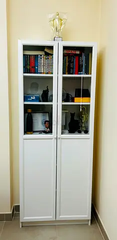 2 door book shelf/storage (Ikea)