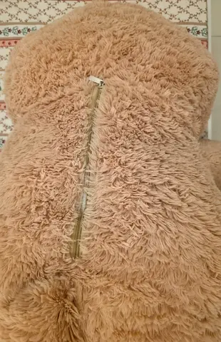 Big Teddy bear