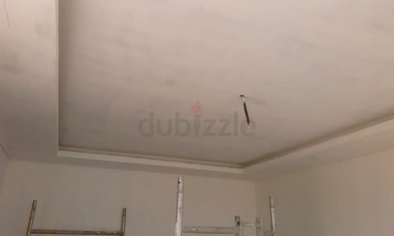 DPV_View_Image_8