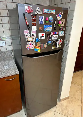 LG 2-Door Top Freezer Refrigerator - Stainless Steel, Excellent Condition